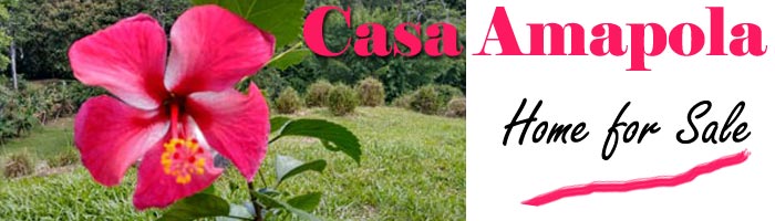 Casa Amapola Home for Sale